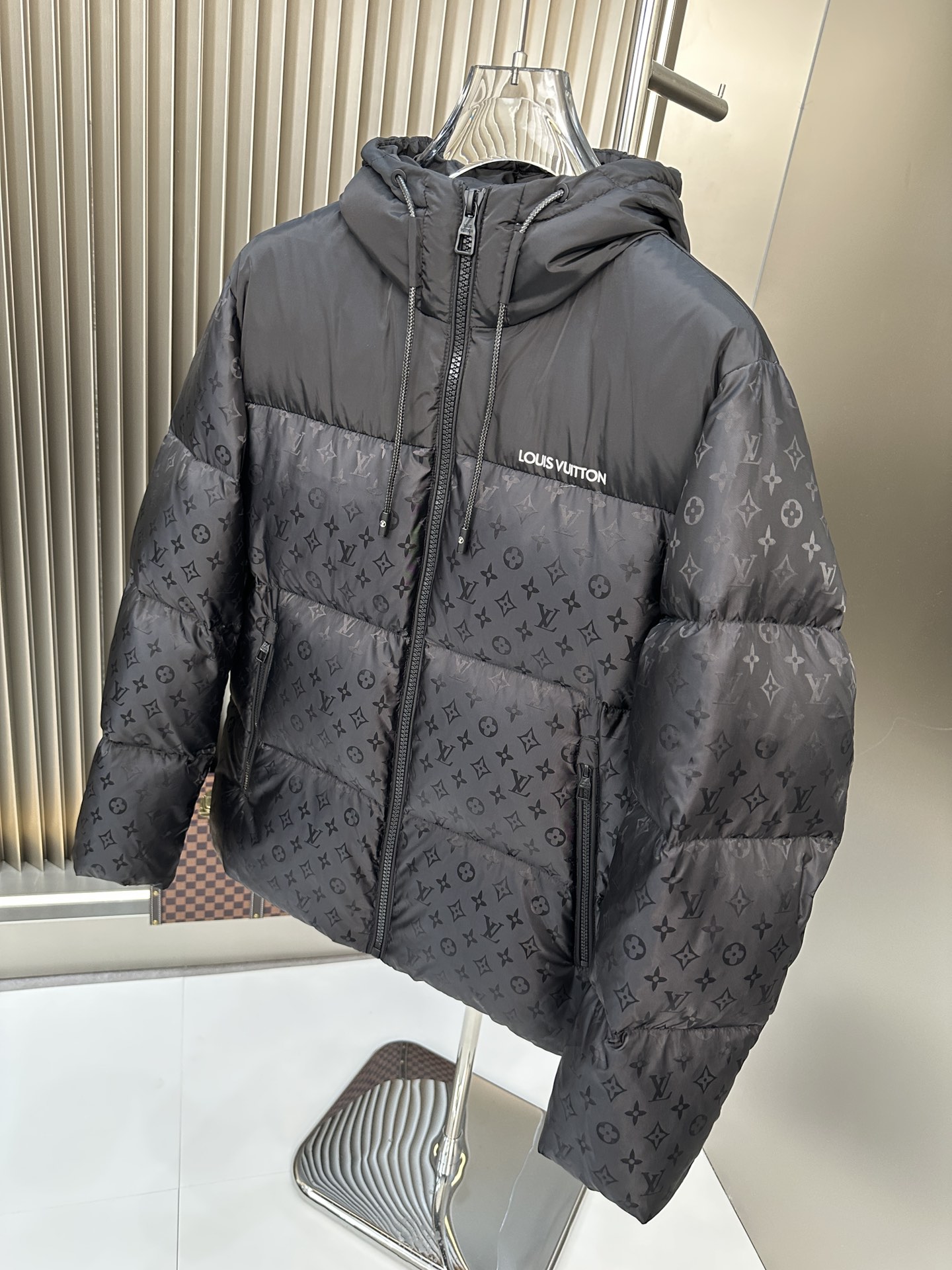 Louis Vuitton Down Jackets